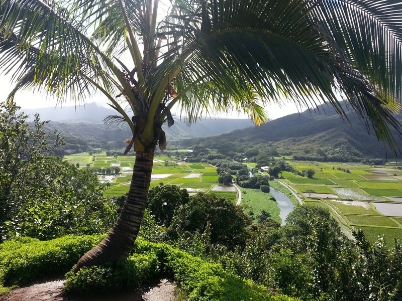 Lomi Lomi Hawaiian Massage